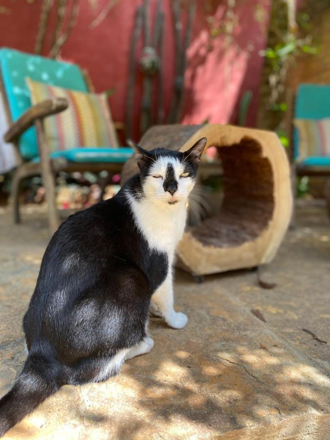 Cumelen Villa Jijoca de Jericoacoara Dış mekan fotoğraf