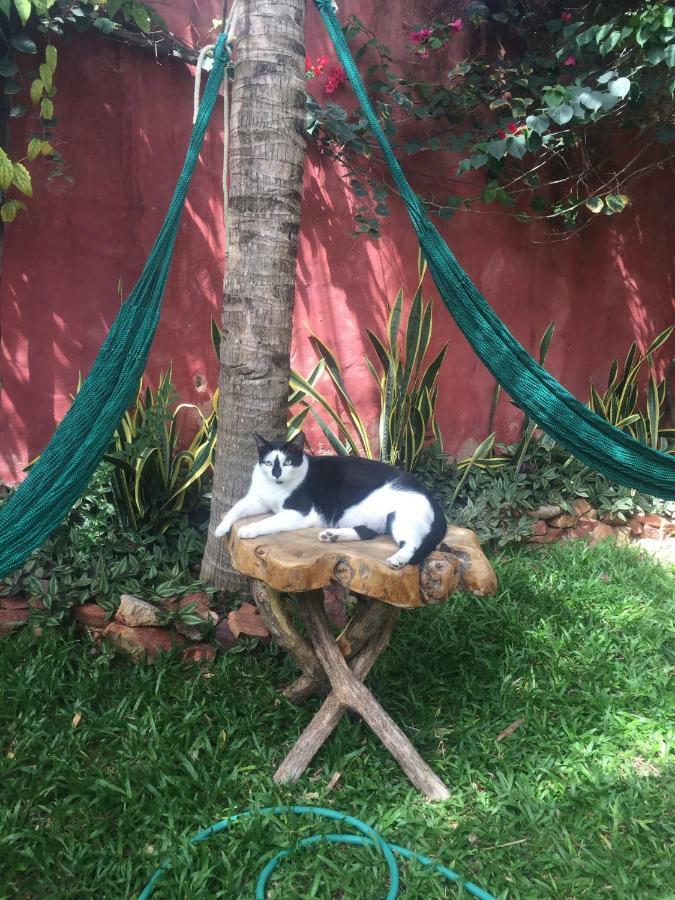 Cumelen Villa Jijoca de Jericoacoara Dış mekan fotoğraf